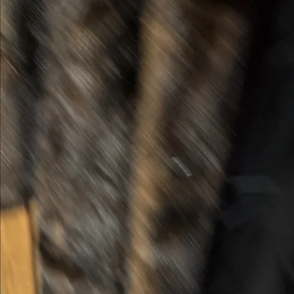 Donna Salyer’s Fabulous Faux Furs Rich Brown Faux Mink Full Length Coat - Picture 6 of 7